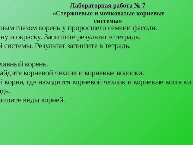 Лабораторная работа изучение корневых систем. Лабораторная работа изучение корневых систем