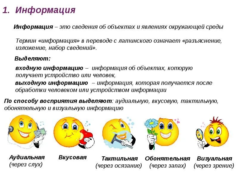 Узнать полезную информацию