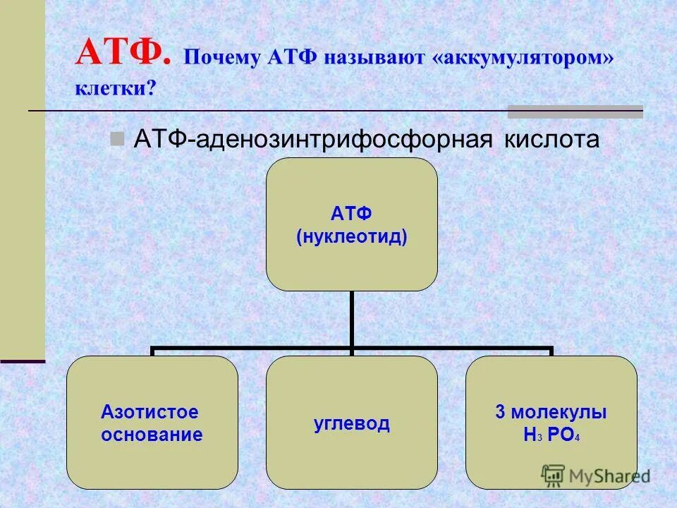 Лекарство атф. Нуклеиновые кислоты АТФ. АТФ биология 10 класс. Функции АТФ.