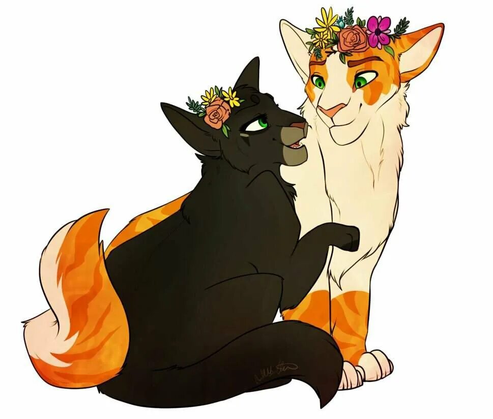 листопад коты. коты воители остролистая и листопад любовь. листопад коты. коты воители розохвостка. коты воители однозвёзд.