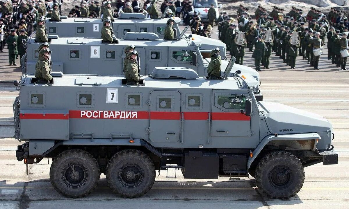 Вв 2025