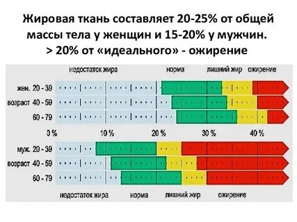 Мышечная масса норма у женщин