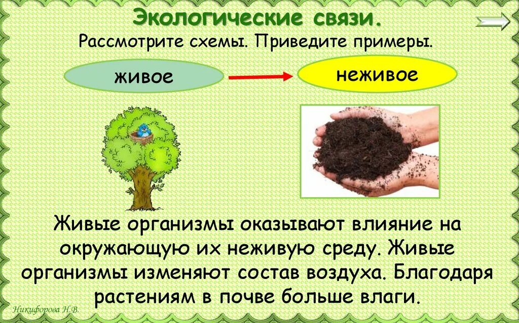 Экологические связи живое неживое. Экологические связи живое неживое примеры. Экологические связи. Примеры экологических связей.