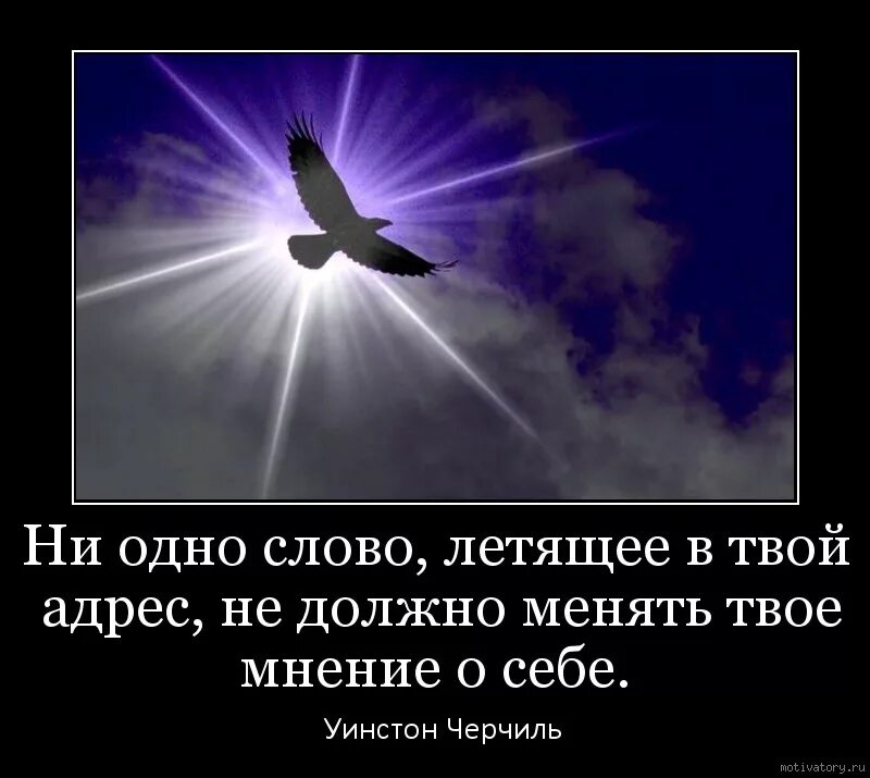 Давай летай текст. Ни одно слово летящее в твой адрес. Ни одно слово летящее в твой адрес не. Аффлрищмы со словом летать. Афоризмы со словом летать.