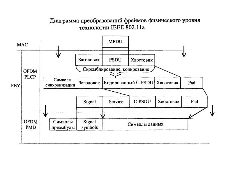 Физические спецификации технологии ethernet схема. В. Уровни информационных процессов. Устройства канального уровня. Физический уровень (physical).