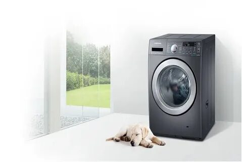 Bosch wash