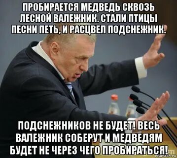 Пробираться сквозь валежник