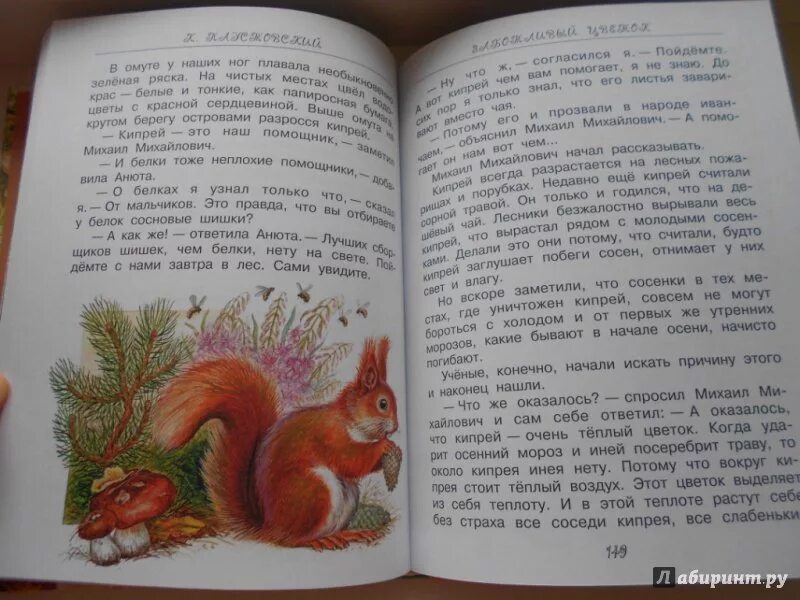 Паустовский сказки и рассказы о животных. Книга лесные сказки и истории. лесные сказки паустовский. рассказ про белку на чувашском языке. лесные сказки и истории про животных.