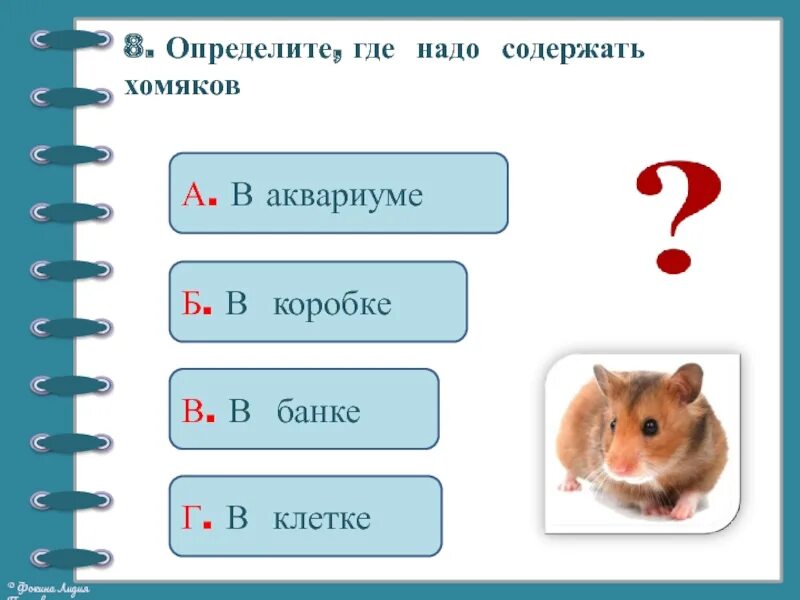 Окружающий мир 2 класс тесты животные. Животные живого уголка 2 класс задания. Задание про живой уголок. Задачи живого уголка. Животные задания 2 класс.