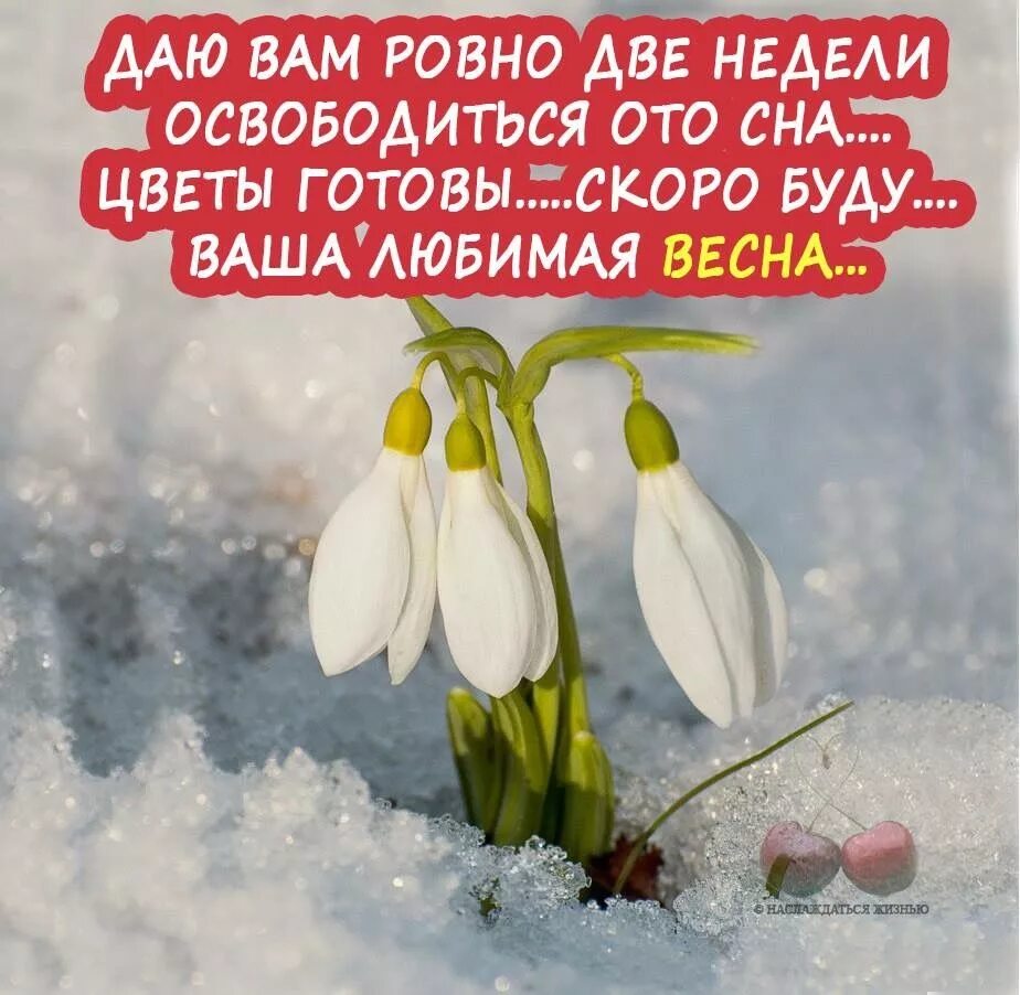 Февраль цитаты. Цитаты про весну. афоризмы про весну красивые. весна цитаты красивые. красивые фразы про весну.