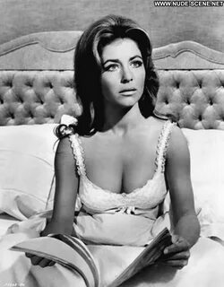E Love Michele Carey Posing Hot Live Celebrity Beautiful Babe.