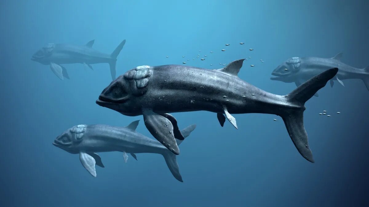 Лидсихтис. LEEDSICHTHYS problematicus. Лидсихтис рыба. Лидсихтис динозавр.