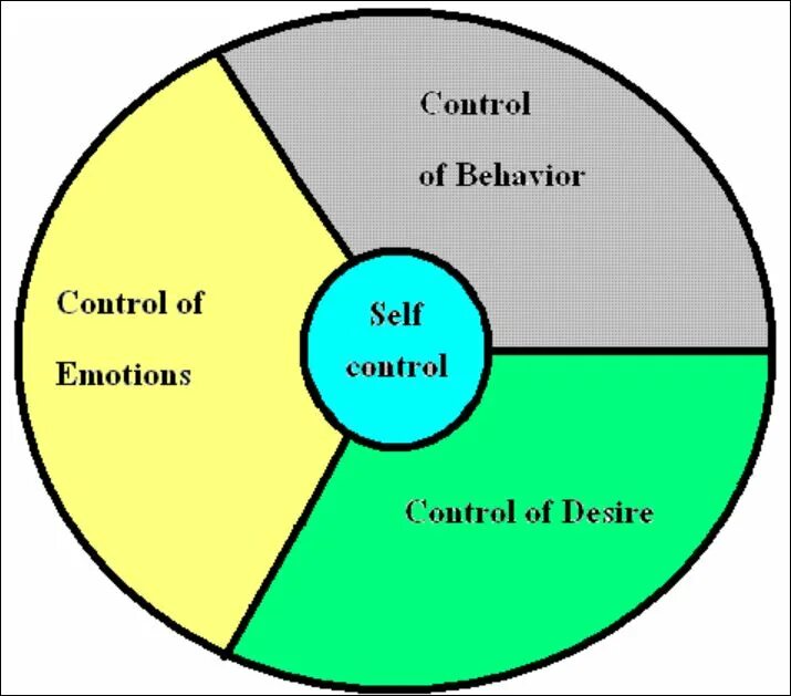 Self Control. Self Control н. Self Control переключение. Self Control майн. Controlling behavior