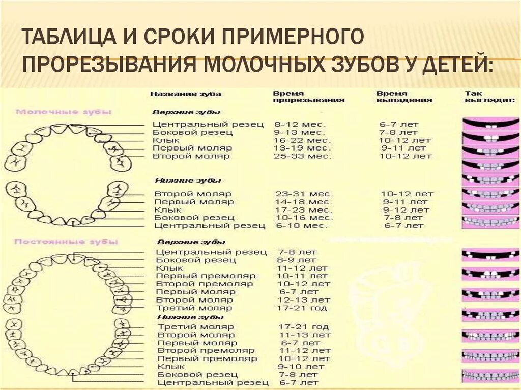 Сколько длится температура при прорезывании