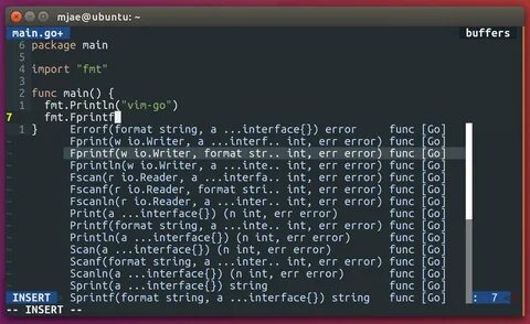 vimLinux 13. vim-go와 deoplete-go, Go언어를 위한 플러그인 :: 김명재, Myeongjae Kim.