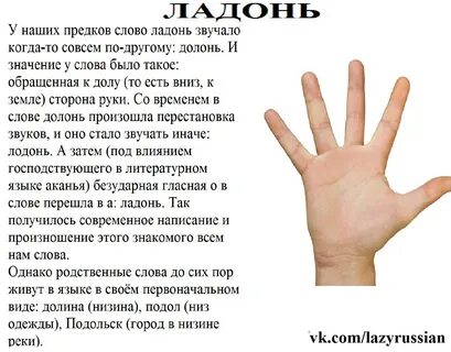 Предки текст
