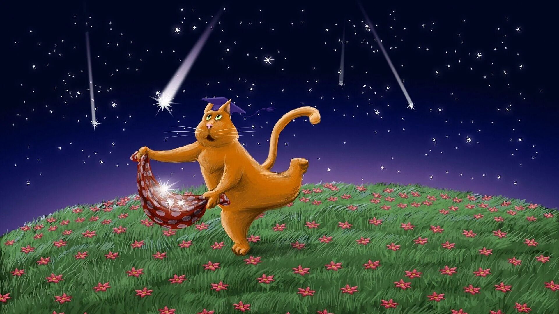 Жду новую звезду. Кот ловит звезду. Желание на падающую звезду. День собирания звезд. Ловить падающие звезды.