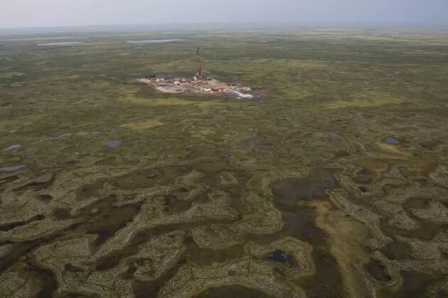 Печорская нефть. Тимано-печорская провинция. тимано-печорское месторождение. тимано-печорская нефтегазоносная провинция. печора нефтяное месторождение.