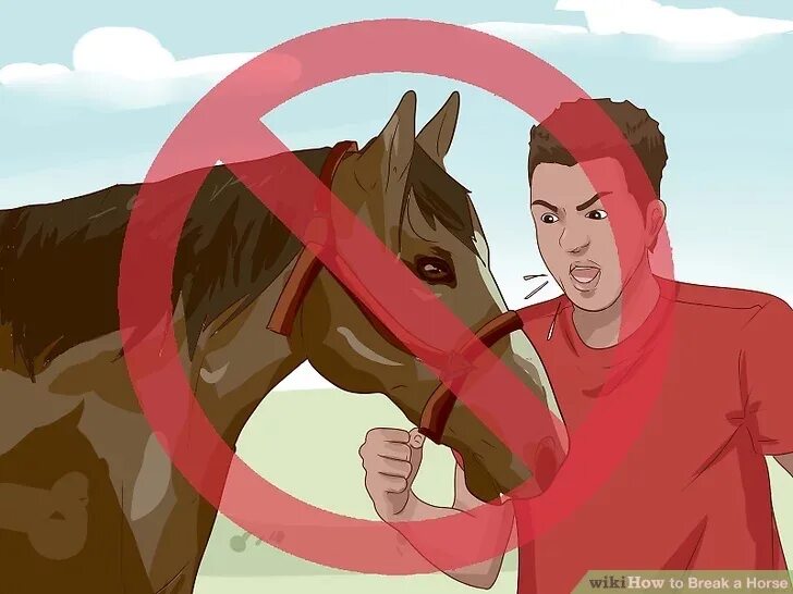 Wiki horses. Как приручить лошадь в реальной жизни. Девушка внутри коня. How to Break a Horse.