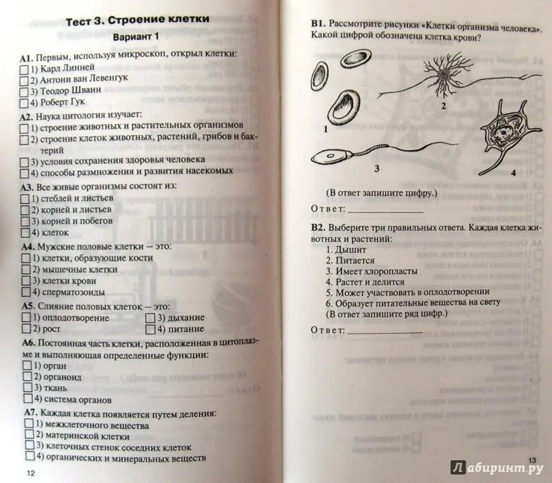 Позвоночные животные 8 класс биология контрольная работа. Контрольно-измерительные материалы по биологии 6 класс Пономарева. Проверочные работы по биологии 5 класс Пономарева ФГОС. Контрольно-измерительные материалы по биологии 5 класс. Контрольная работа по Юи.