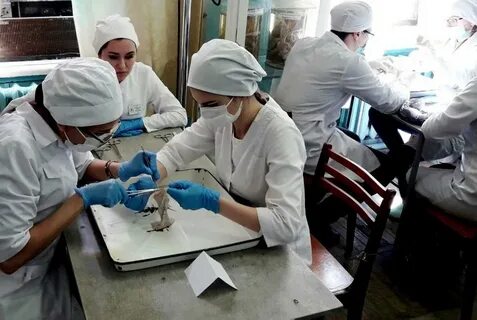 Хирургия студентам