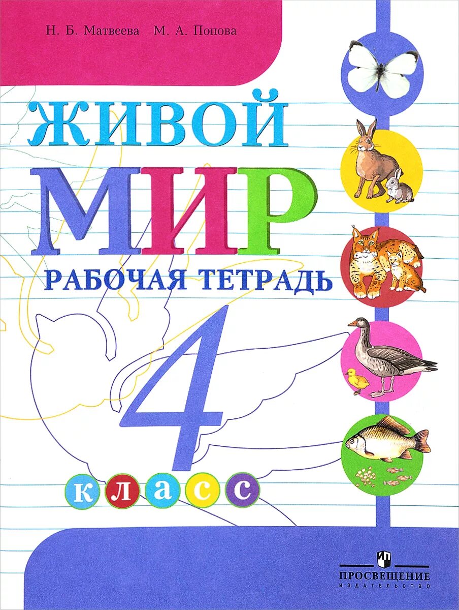 Рабочая тетрадь 4. Мир природы и человека рабочая тетрадь класс. Живой мир 4 класс Матвеева. Матвеева мир природы и человека 4 класс. Учебник мир природы и человека 4 класс школа 8 вида по ФГОС.