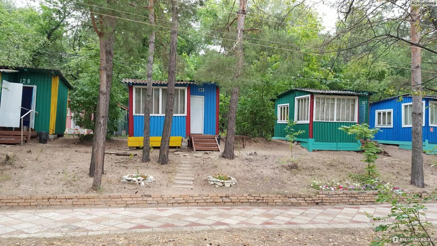 Турбаза Чайка Самара. Остров зелененький Самара турбаза. Турбаза Чайка о зелененький. База отдыха Чайка остров зелененький Самара.