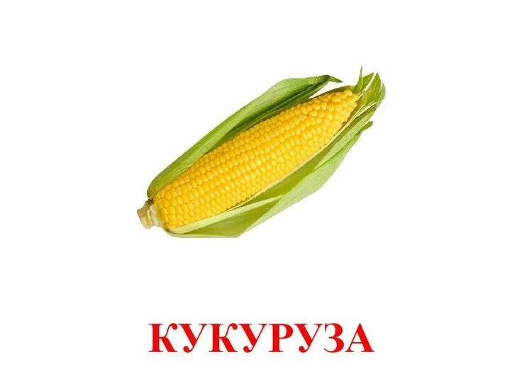 Бусы из кукурузы. Слово кукуруза. Кукуруза сладкая. Карточки домана кукуруза. Табличка кукуруза.