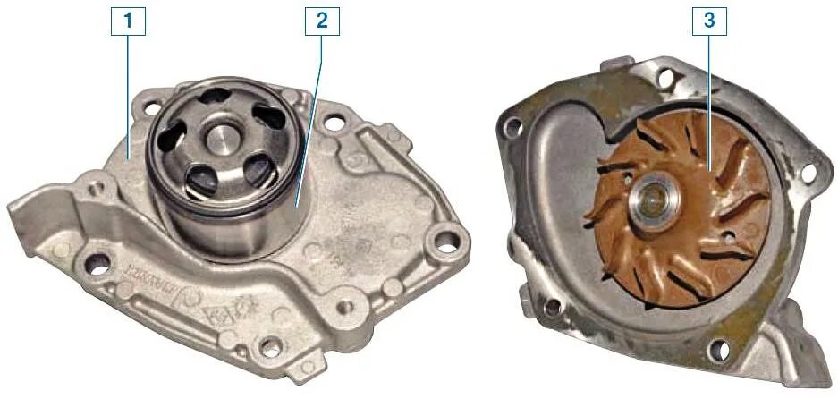 Рено дастер замена помпы. Помпа Рено Дастер 1.6. Насос охлаждения на Рено Дастер 2.0 бензин. Дастер помпа привод. Помпа системы охлаждения Дастер 2,0.