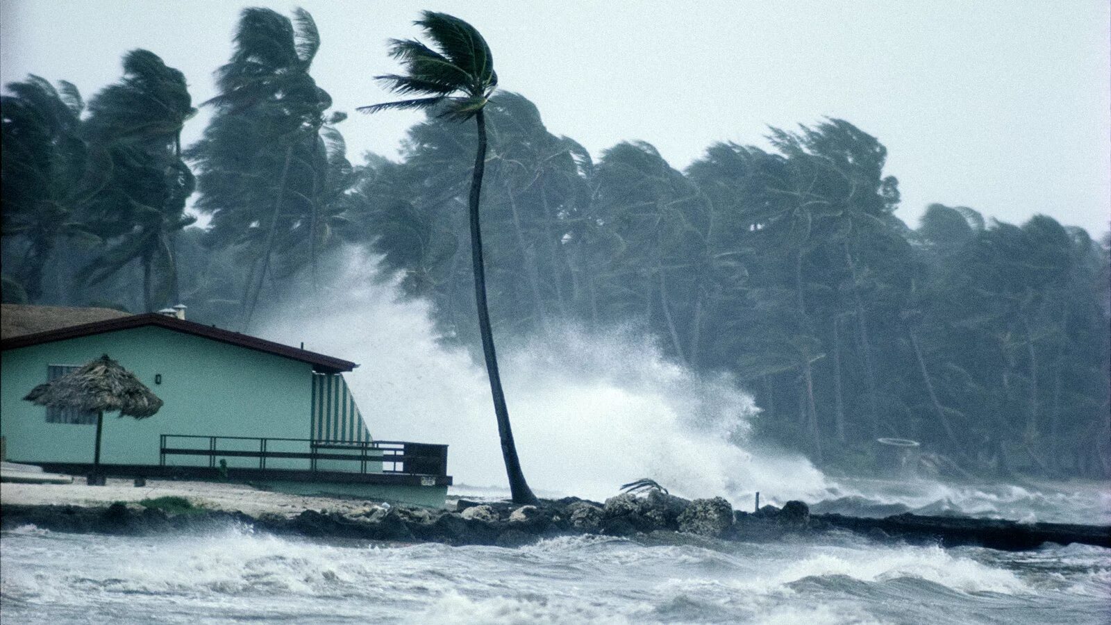 Natural disasters hurricane. ЦУНАМИ Торнадо Тайфун. Ураган циклон смерч. Тайфун. Ураганы смерчи Торнадо ЦУНАМИ наводнения. Ураган буря Тайфун это.