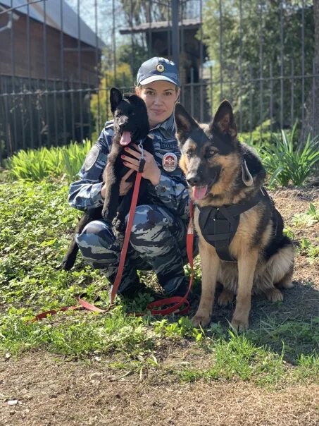 Полицейский кинолог. Младший инспектор кинолог. Вячеслав горбач кинолог. Журавлев александр кинолог. Младший инспектор кинолог мвд.