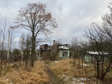 Погода спб лисий нос