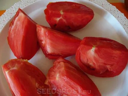Слива польская