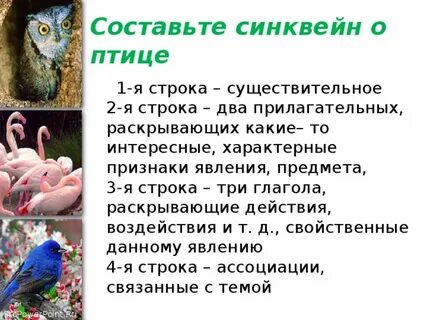 Составь синквейн о воробье
