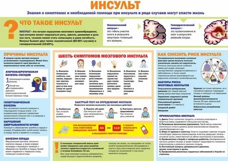 Профилактика головного мозга