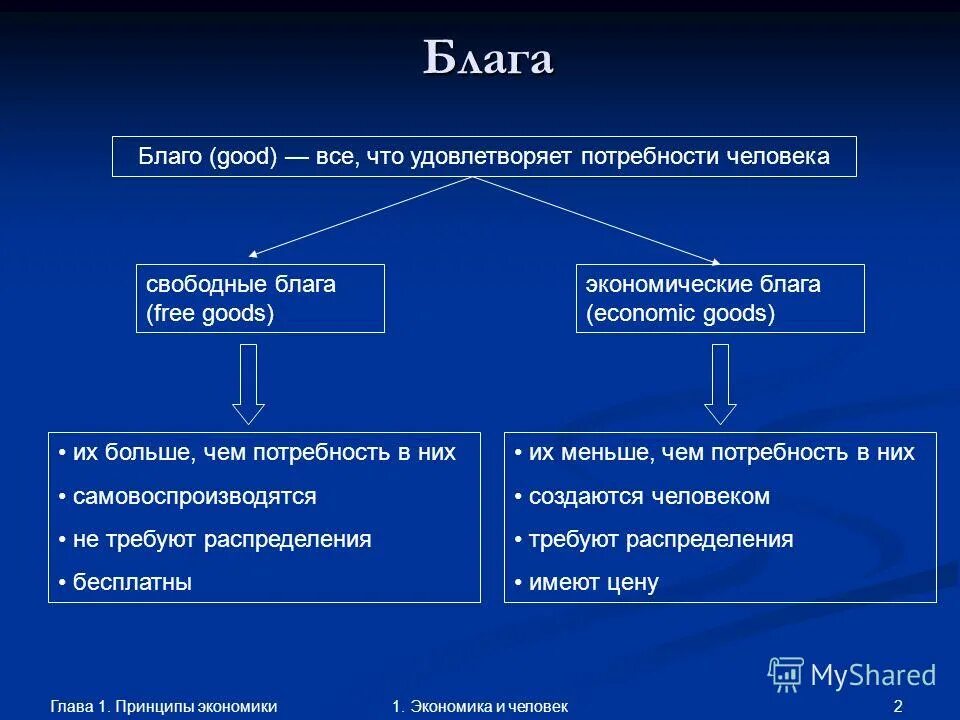 Что связывает человека с экономикой