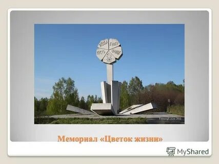 Мемориал цветок