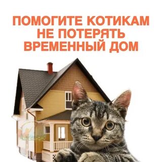 Помочь вам арендой