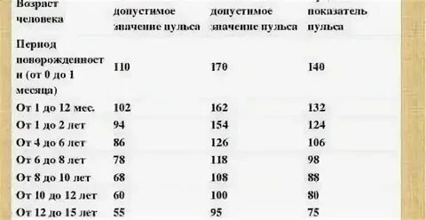 Пульс 28 ударов в минуту