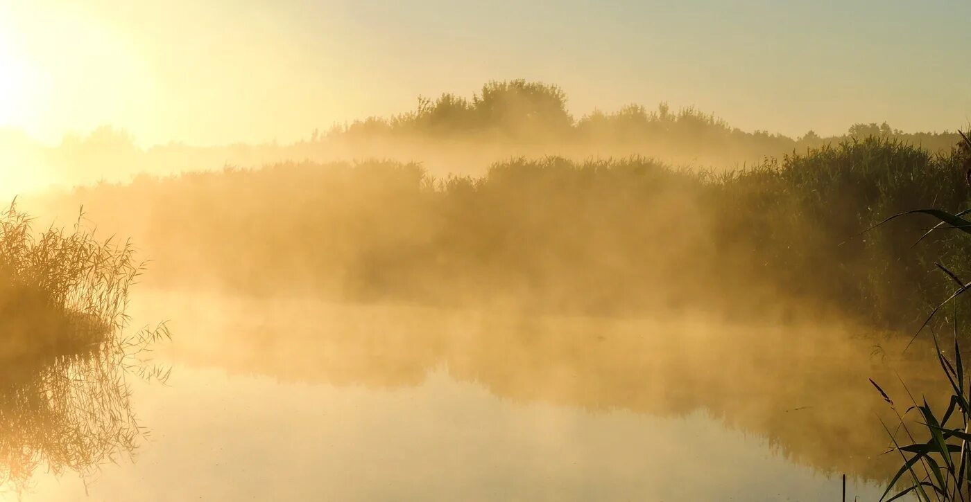 Песня над рекой туман дым. Туман над рекой. Август утро река туман. Приятный фон. Туман над рекой Эстетика.