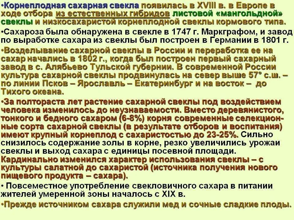 Сколько килограммов сахарной свеклы. Вегетативный период сахарной свеклы. Стадии развития сахарной свеклы. Биологические особенности сахарной свеклы. Свекла сахарная развитие.