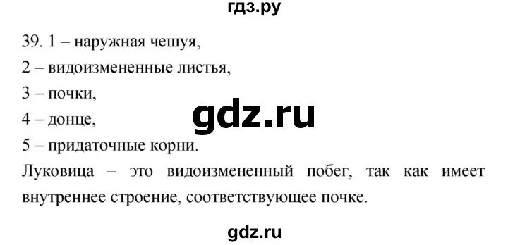 Биология 6 класс 4 параграф слушать пасечник. Биология 6 класс 4 параграф слушать пасечник. Биология 6 класс 5 параграф пасечник. В. Биология 6 класс пасечник параграф 22.