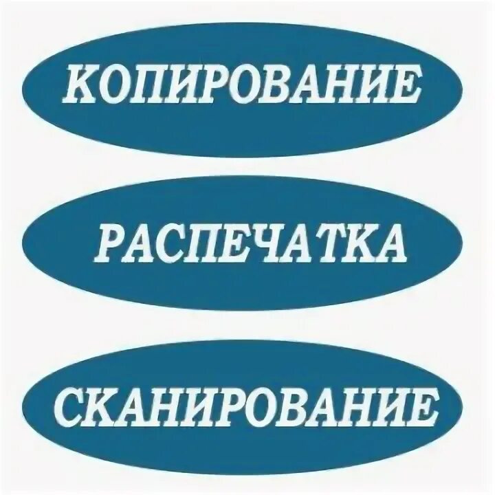 Ксерокопия распечатка. Сканирование распечатка. Ксерокопия надпись. Ксерокс надпись. Объявление распечатка