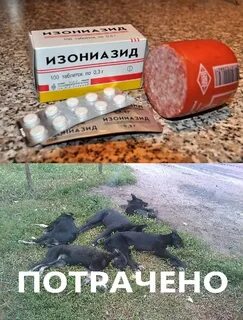 Травили ядом