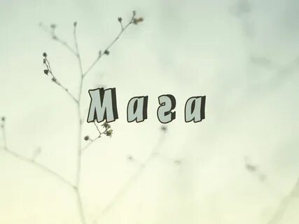 Садам имя