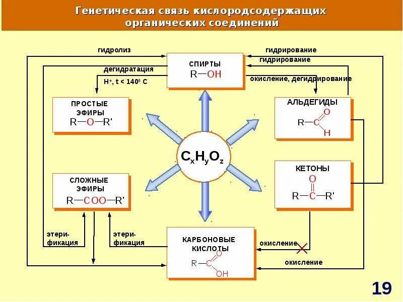 Взаимосвязь органических веществ таблица. Таблица генетическая связь органических веществ. Схема генетических связей классов органических соединений. Генетическая связь органических соединений таблица. Схема генетической связи органических соединений.