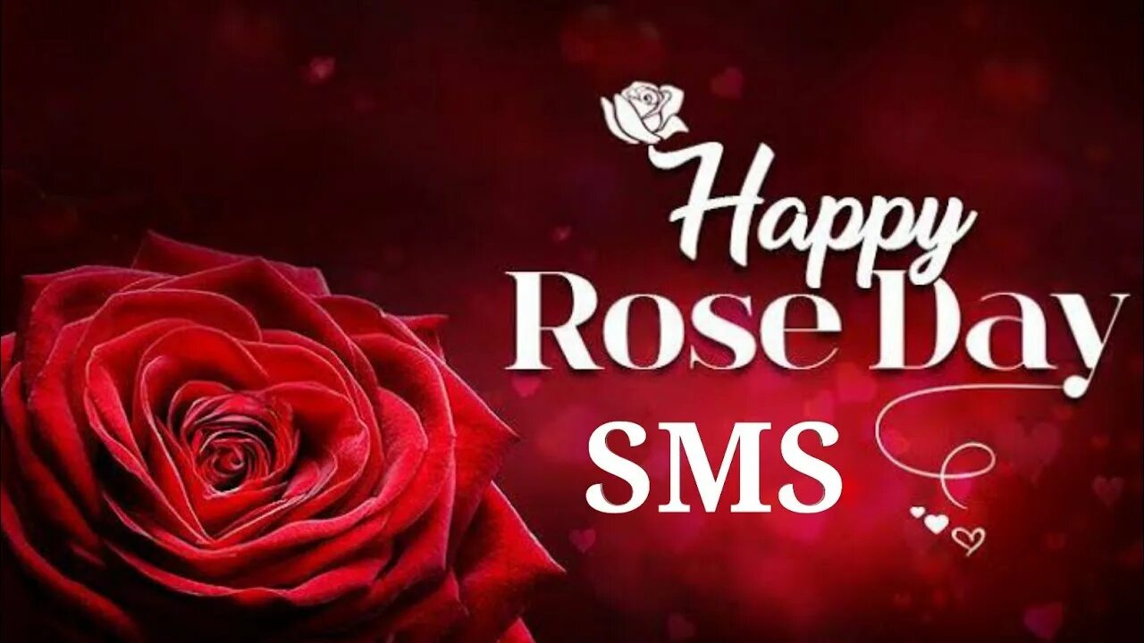 Good day roses. Хэппи дэй. Happy rose day 7 feb. Rose day. Happy valentines day card wishes.