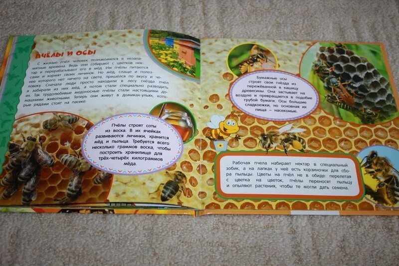 Первая энциклопедия читать. Первая энциклопедия читать. Моя самая первая энциклопедия. Первая энциклопедия читать. Моя самая первая энциклопедия.