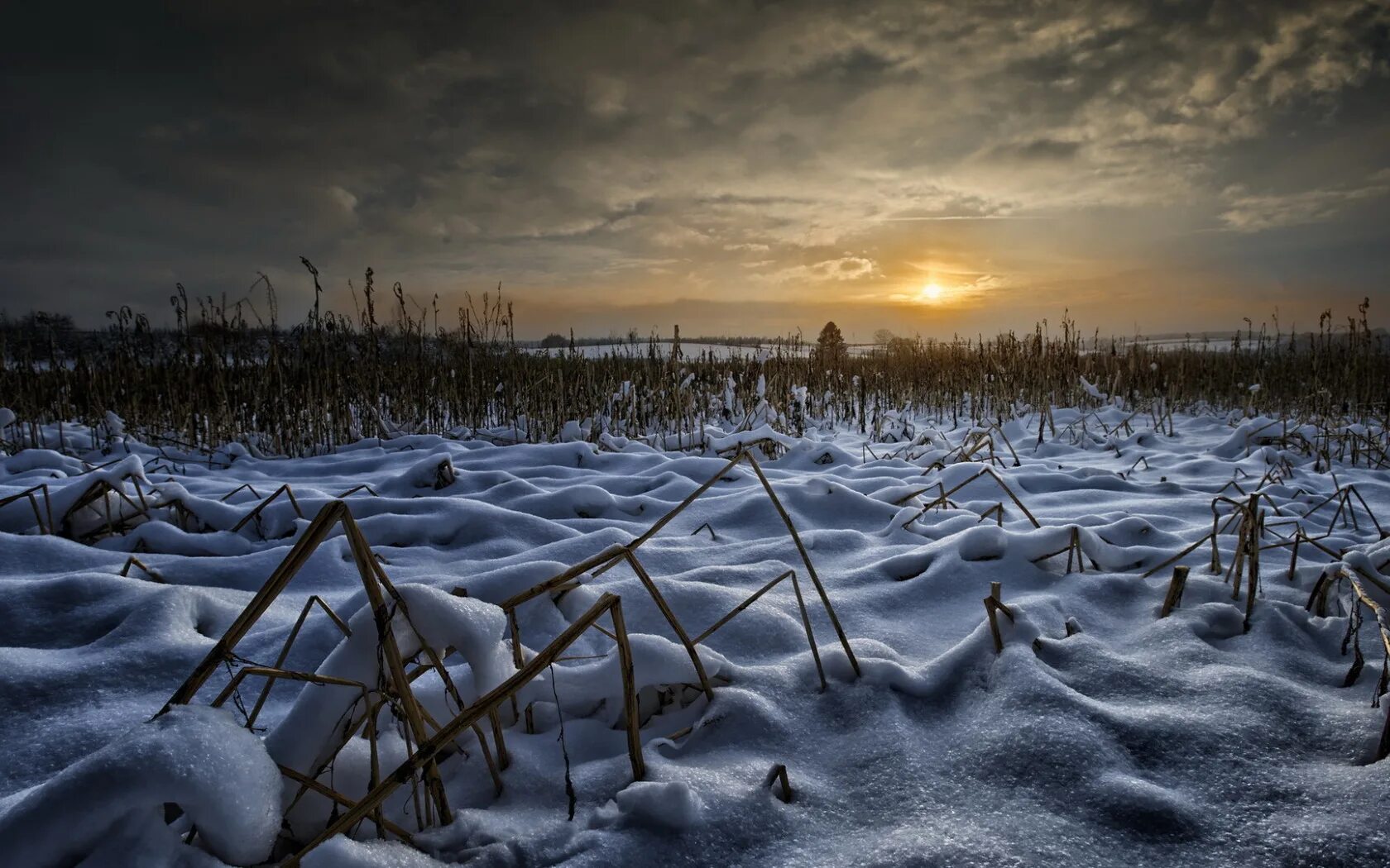 Зимнее поле. Заснеженное поле ночью. Снежное поле. Снег поле. Поле с сугробами