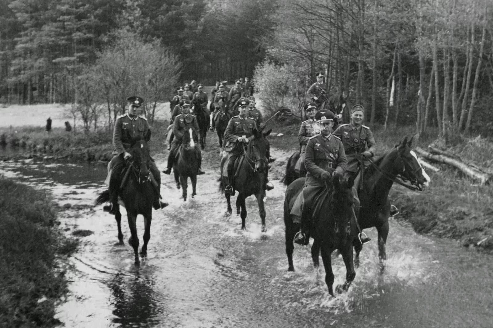 Лошади во время войны. Кавалерия в ВОВ 1941. Кавалеристы вермахта. Кавалерия вермахта 1939-1945. Кавалерия вермахта во второй мировой войне.